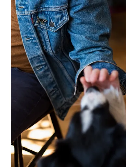 Pin Dog