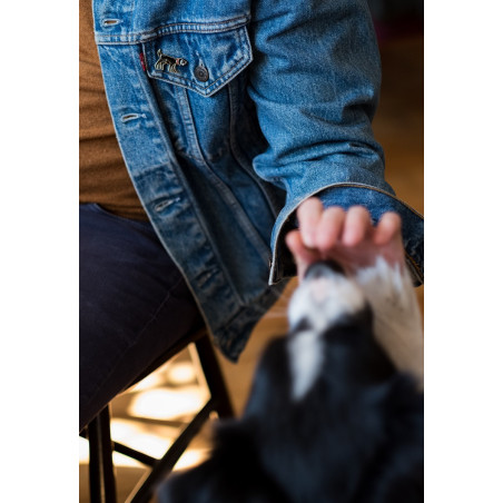 Pin Dog