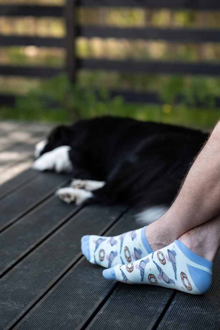 Ankle socks Pigeons