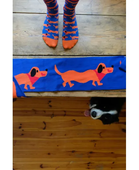 Organic cotton socks Dachshunds