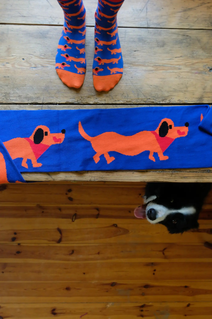 Organic cotton socks Dachshunds