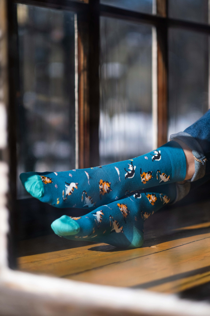 Socks Cats