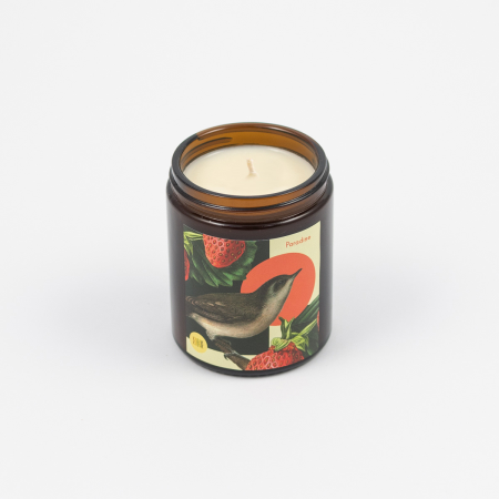 Soy candle hemp Paradise