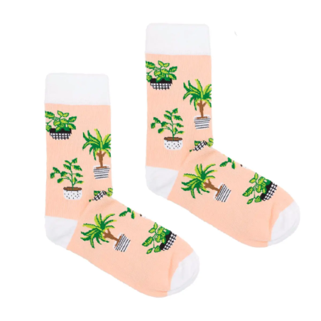 Socks Plants