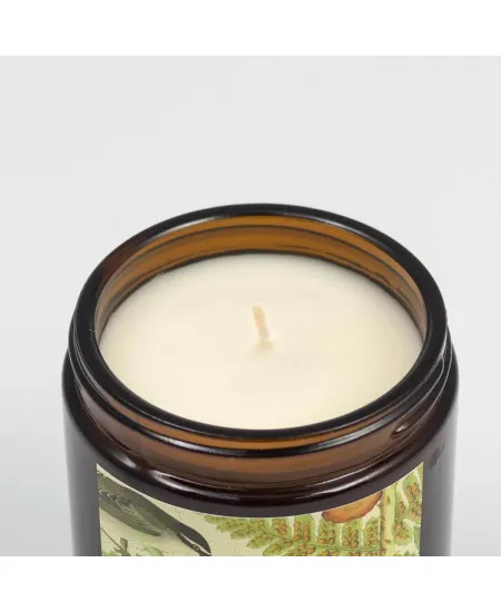 Soy candle hemp Doors of Perception