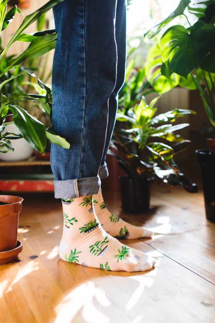 Socks Plants