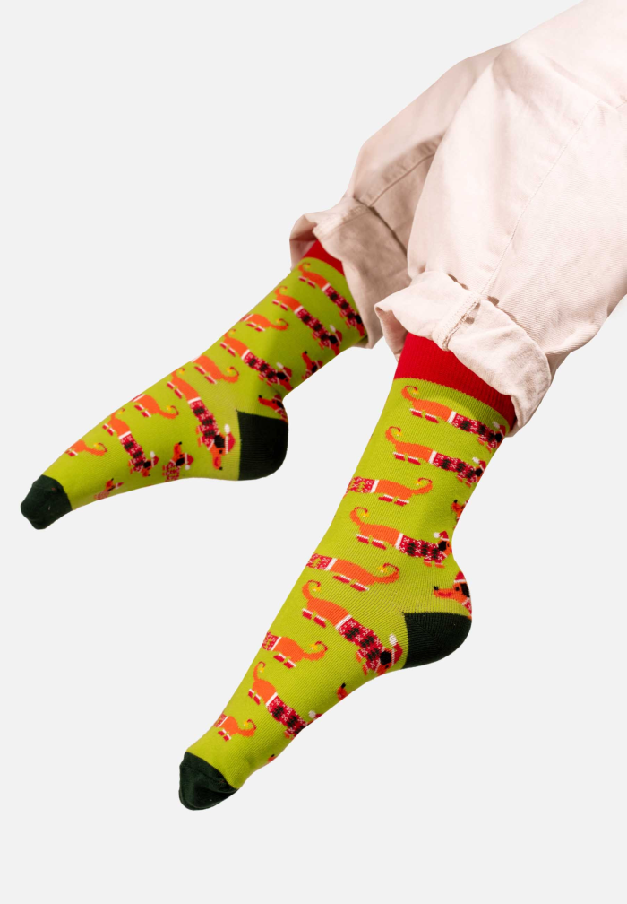 Socks Xmas Dachshund