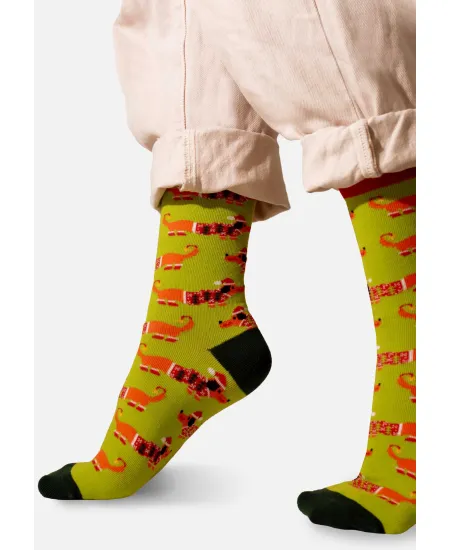 Socks Xmas Dachshund