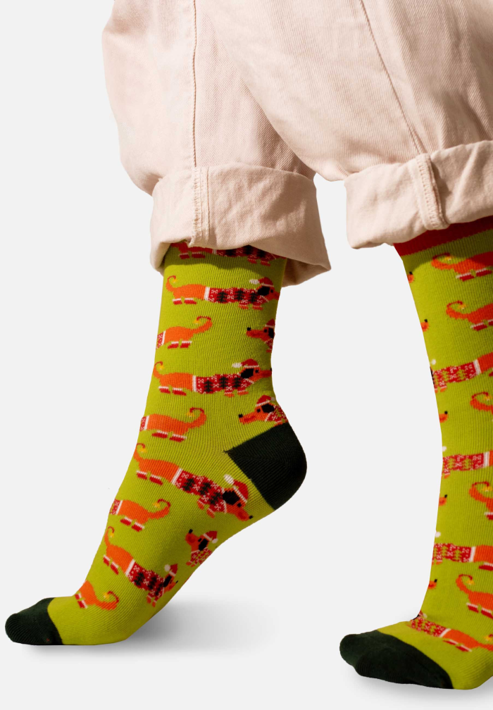 Socks Xmas Dachshund