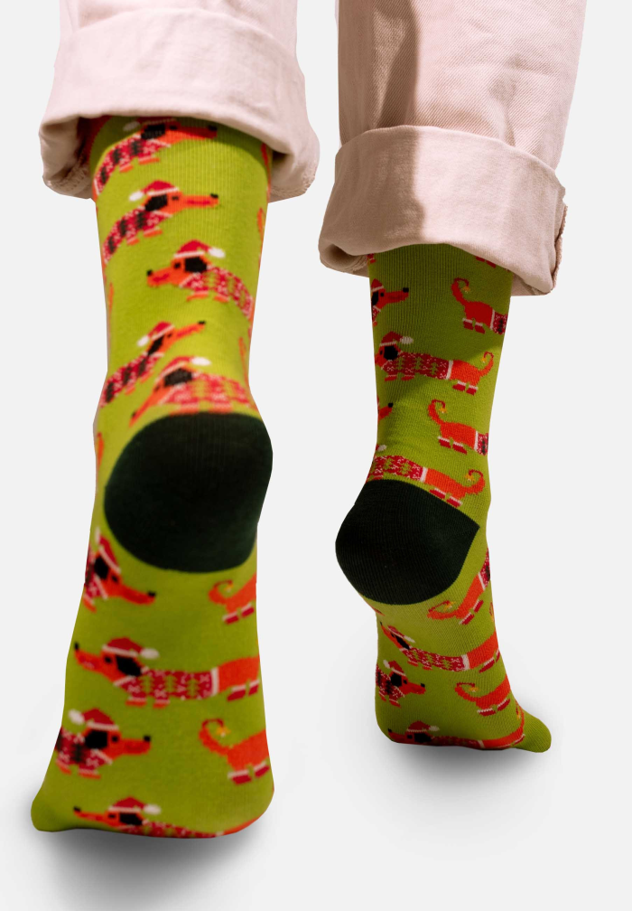 Socks Xmas Dachshund