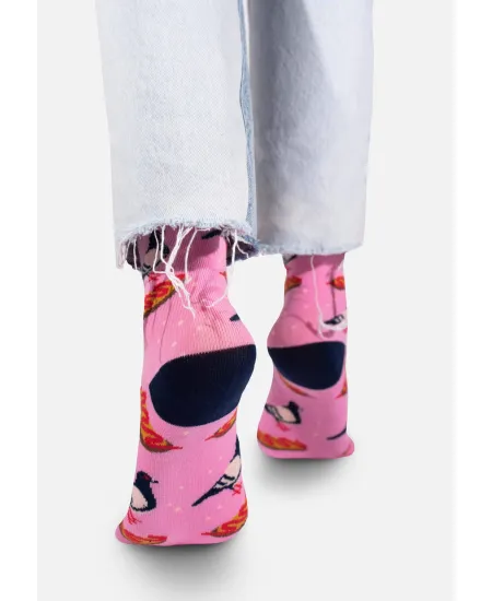 Socks Pigeon and Zapiekanka