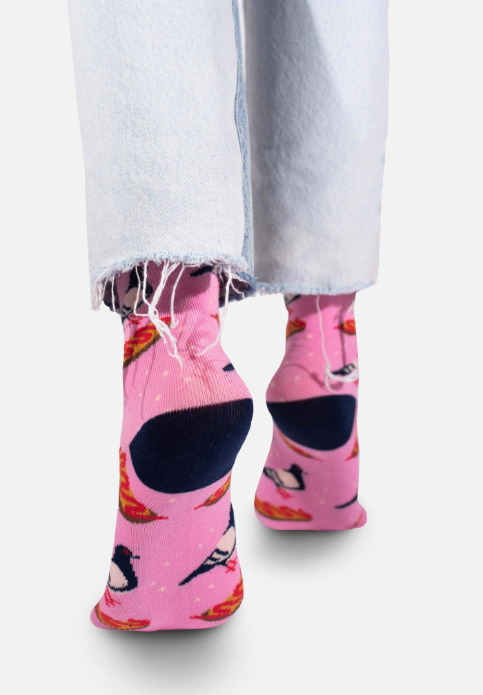 Socks Pigeon and Zapiekanka