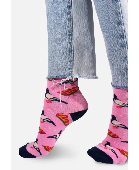 Socks Pigeon and Zapiekanka
