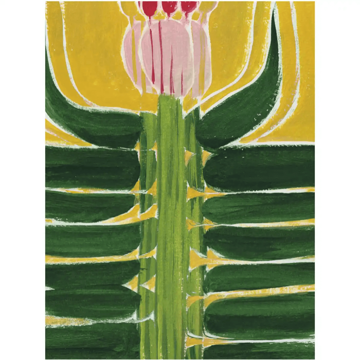 Kaśka - plakat Protea Aurea| papier Crush Corn