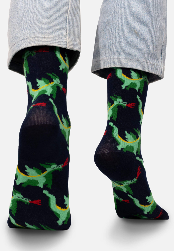 Socks Legend of the Wawel Dragon