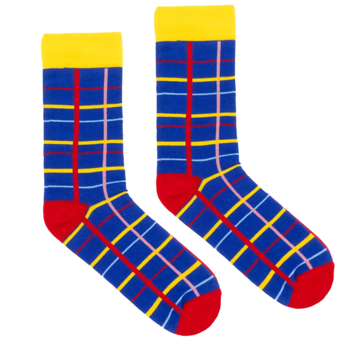 Blue grid socks