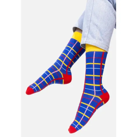 Blue grid socks