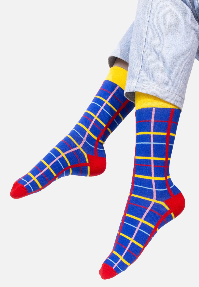 Blue grid socks