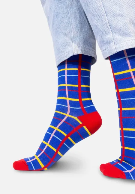 Blue grid socks