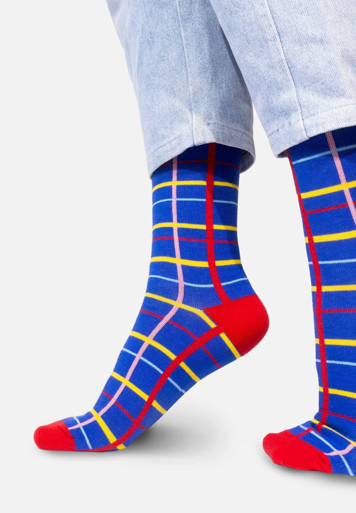 Blue grid socks