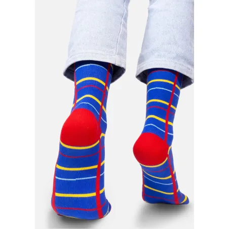 Blue grid socks