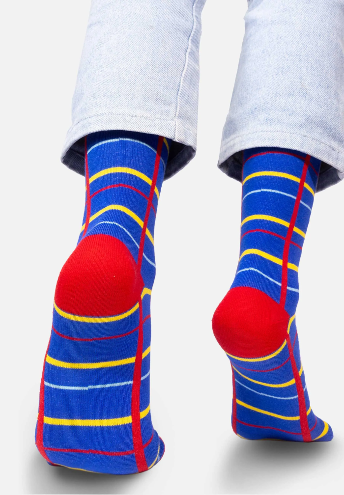 Blue grid socks