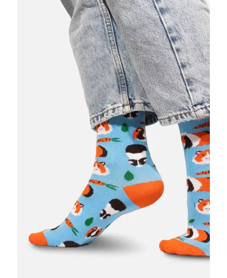 Socks Guinea Pigs