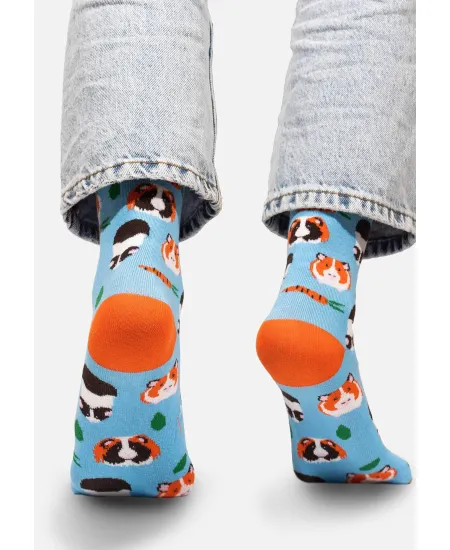 Socks Guinea Pigs