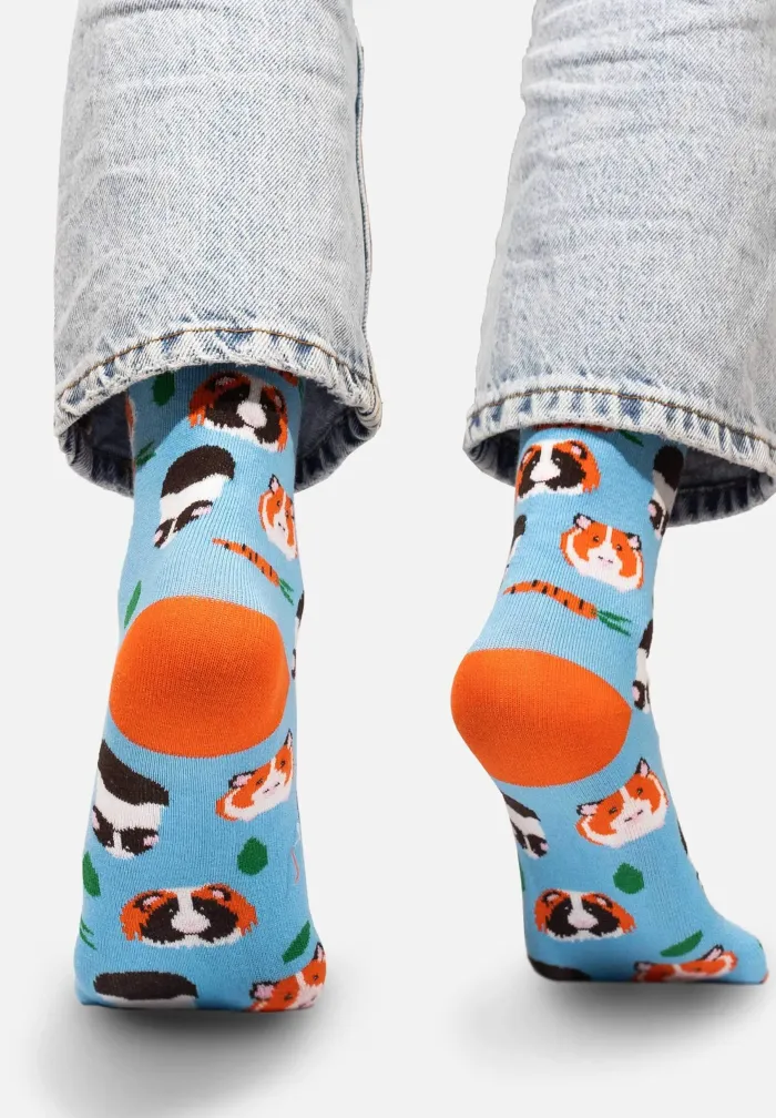 Skarpetki Świnki morskie