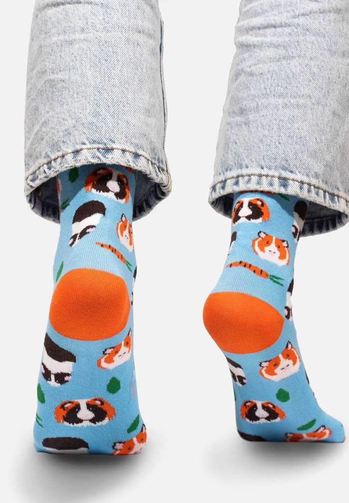 Socks Guinea Pigs