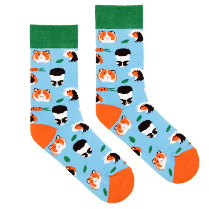 Skarpetki Świnki morskie