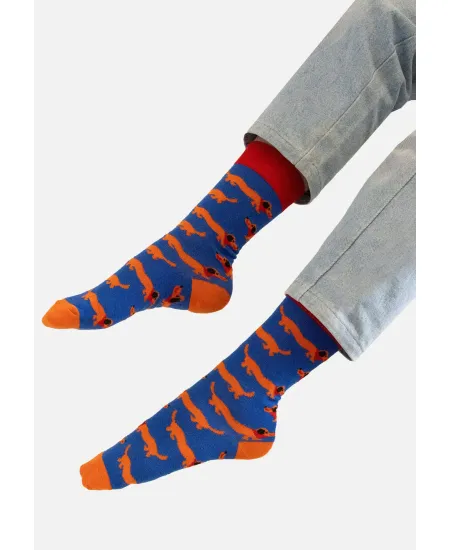 Organic cotton socks Dachshunds