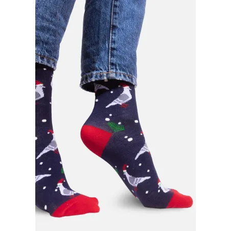 Socks Pigeons Xmas Time