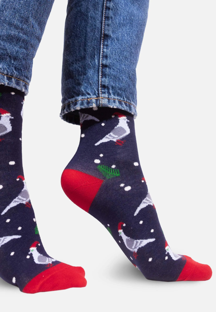 Socks Pigeons Xmas Time