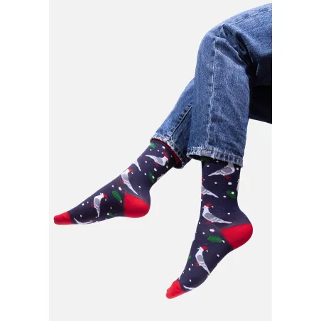 Socks Pigeons Xmas Time