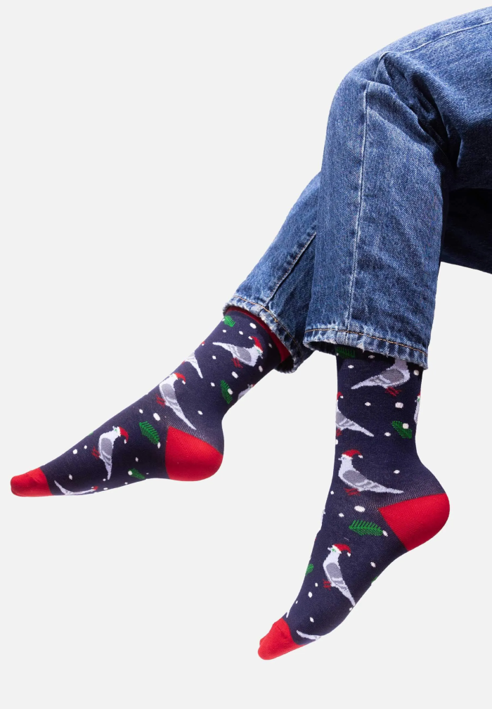 Socks Pigeons Xmas Time
