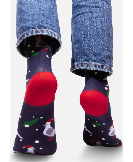 Socks Pigeons Xmas Time