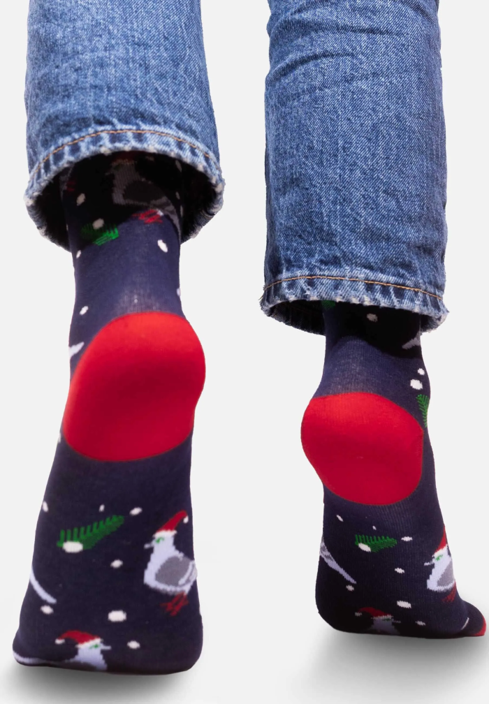 Socks Pigeons Xmas Time