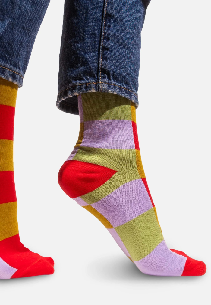 Tomato in the meadow checker socks