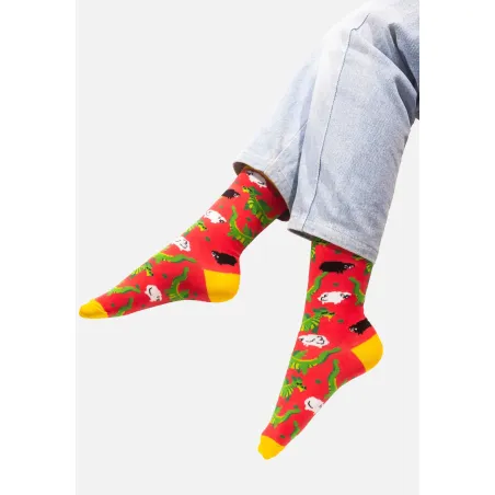 Socks Wawel's Dragons