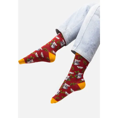 Socks Koalas