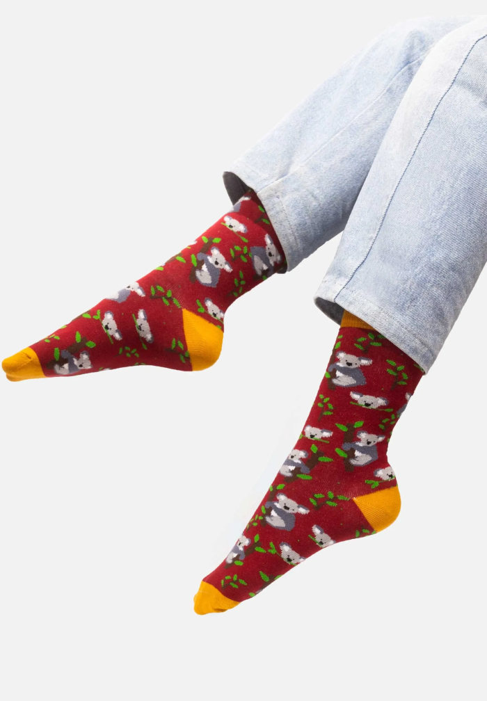 Socks Koalas