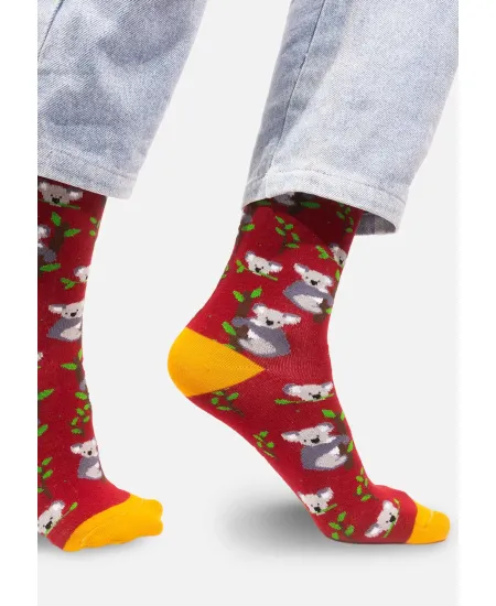 Socks Koalas