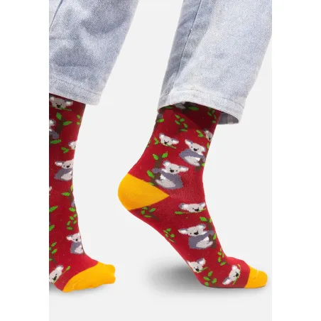 Socks Koalas