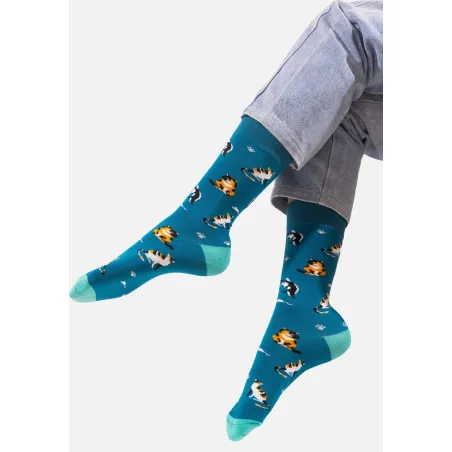 Socks Cats
