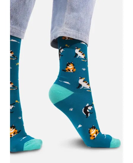 Socks Cats