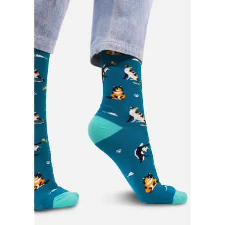 Socks Cats