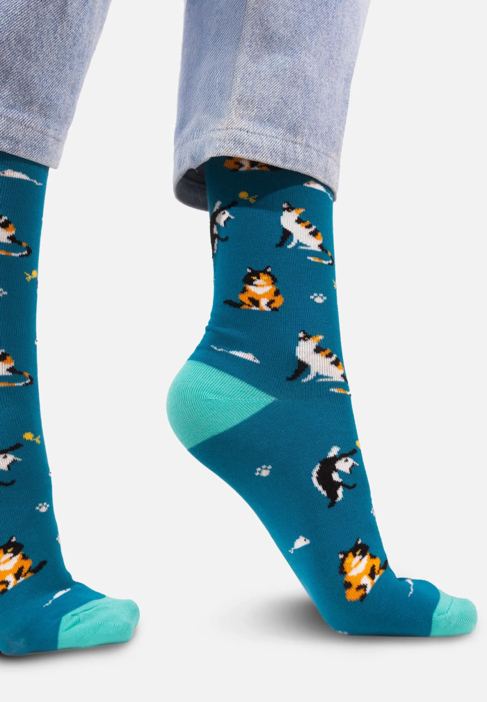 Socks Cats