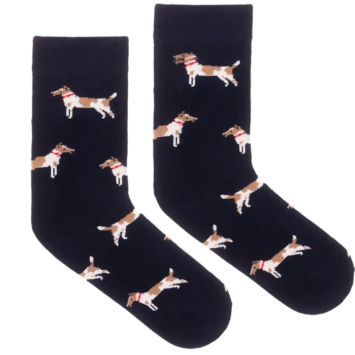 Socks Fox terriers