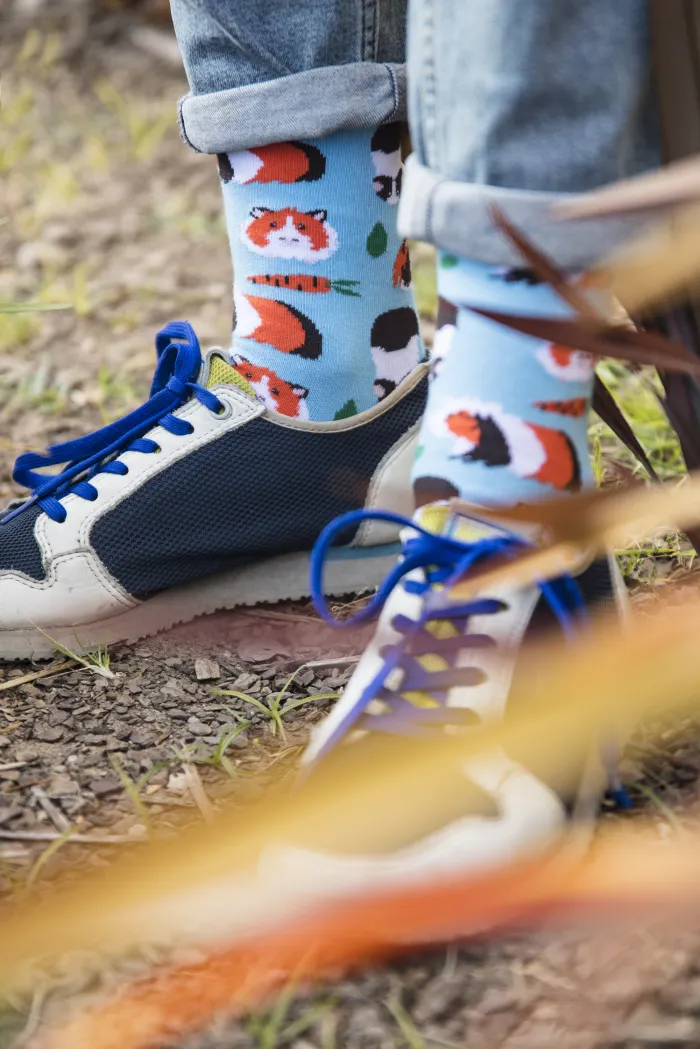 Skarpetki Świnki morskie